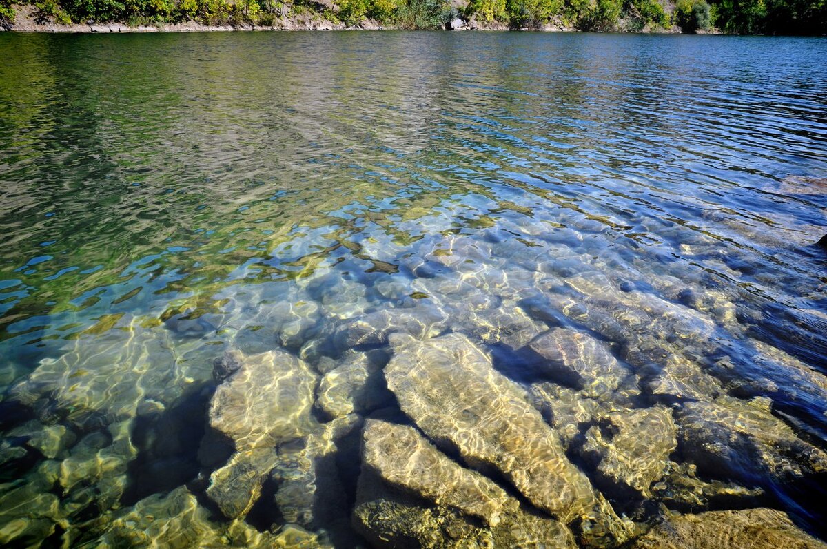 Вода очень чистая, видимость составляет 6-8 метров (большая редкость в донском крае)