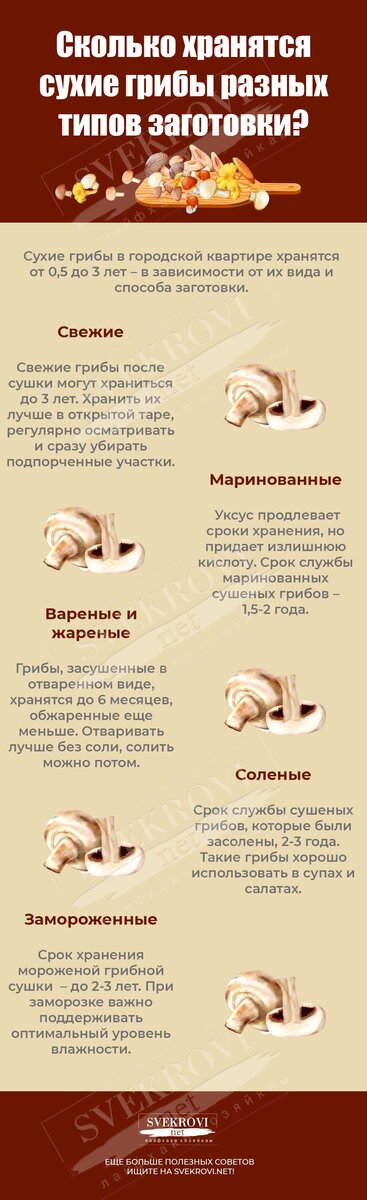 Сроки хранения грибов (источник фото: Яндекс.Картинки)