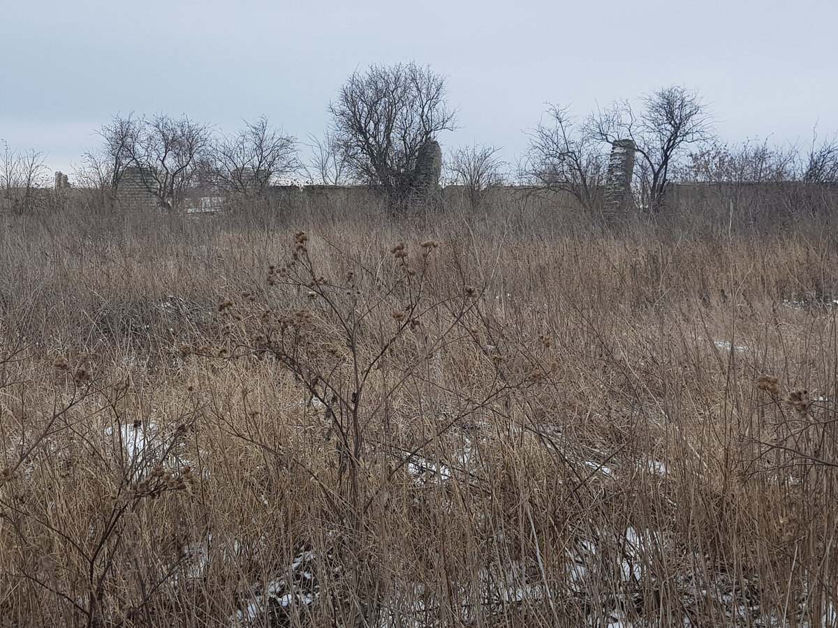 Стены производственной площадки, летом присутствовала еще и крыша.