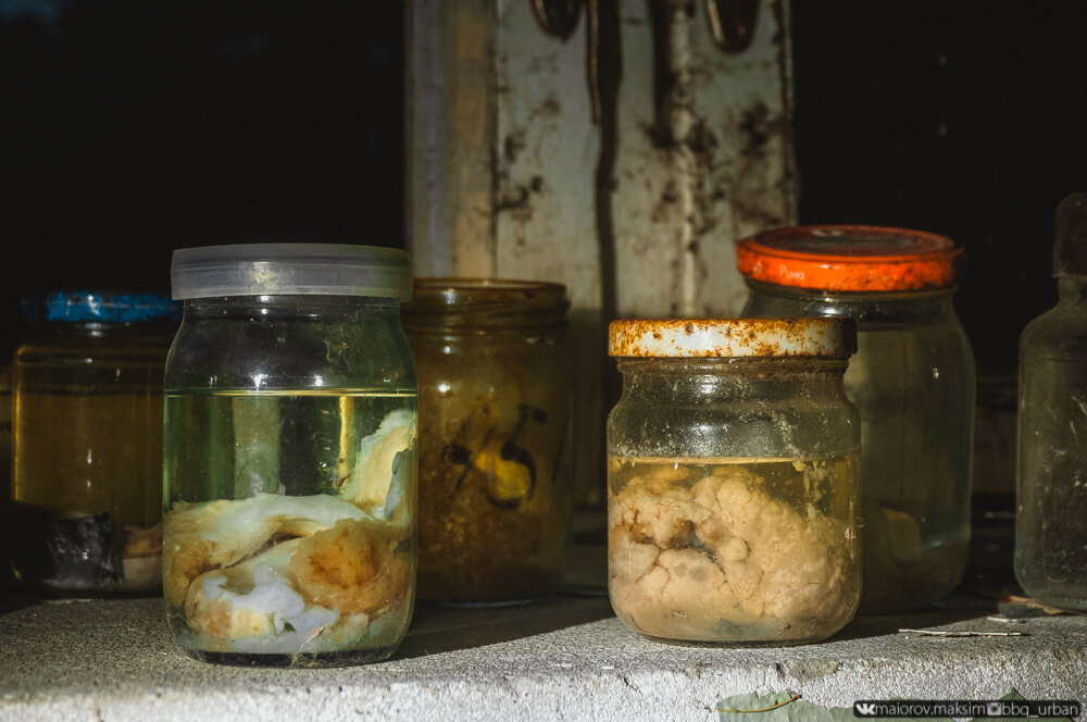 Нашли банки с рыбой выращенной 33 года назад, в пруду рядом с Чернобыльской АЭС