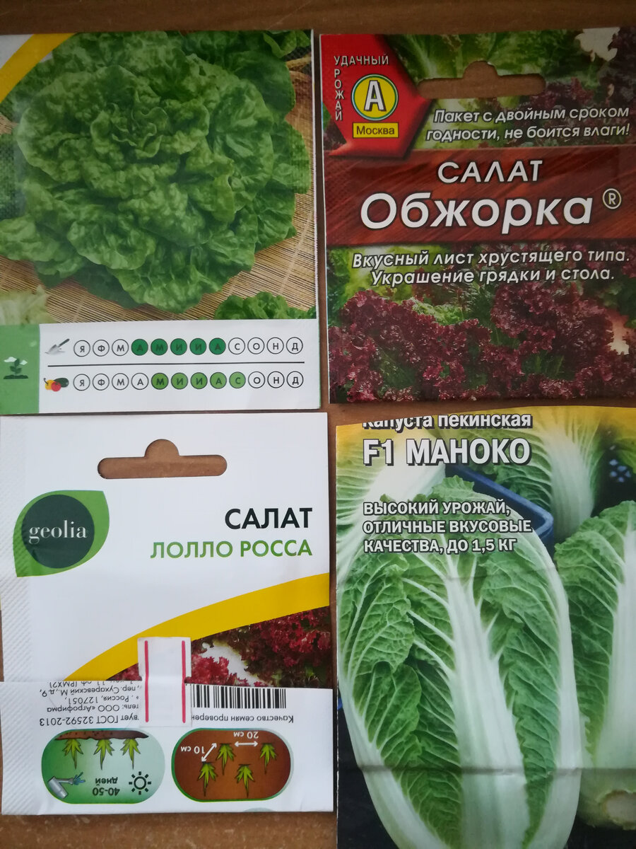           Три салата (слева вверху "Московский парниковый") и пекинская капуста,где то еще был редис, но длинный горшок остался на даче, а сажать по одному в маленькие горшки мне не хотелось.