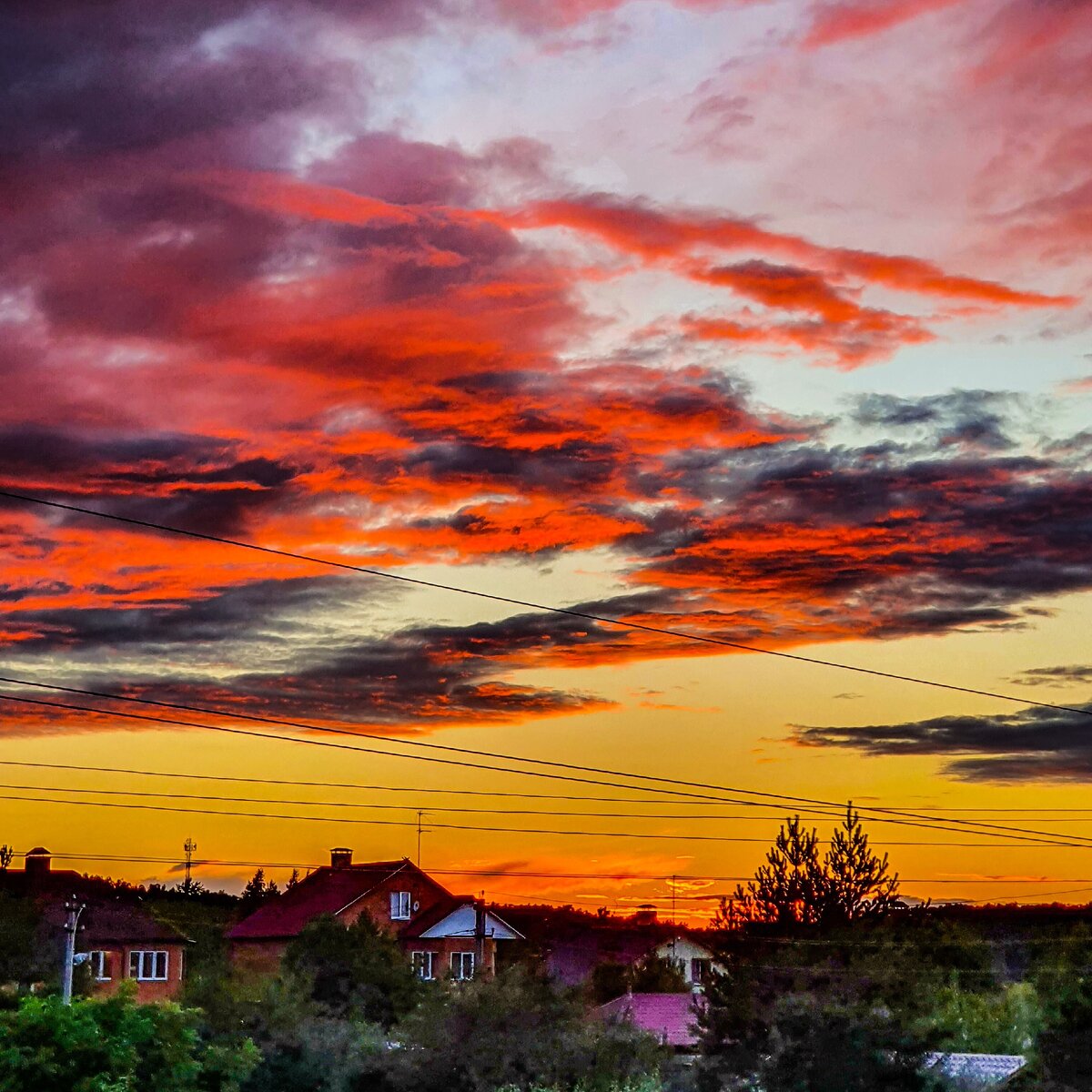 Поливаново 