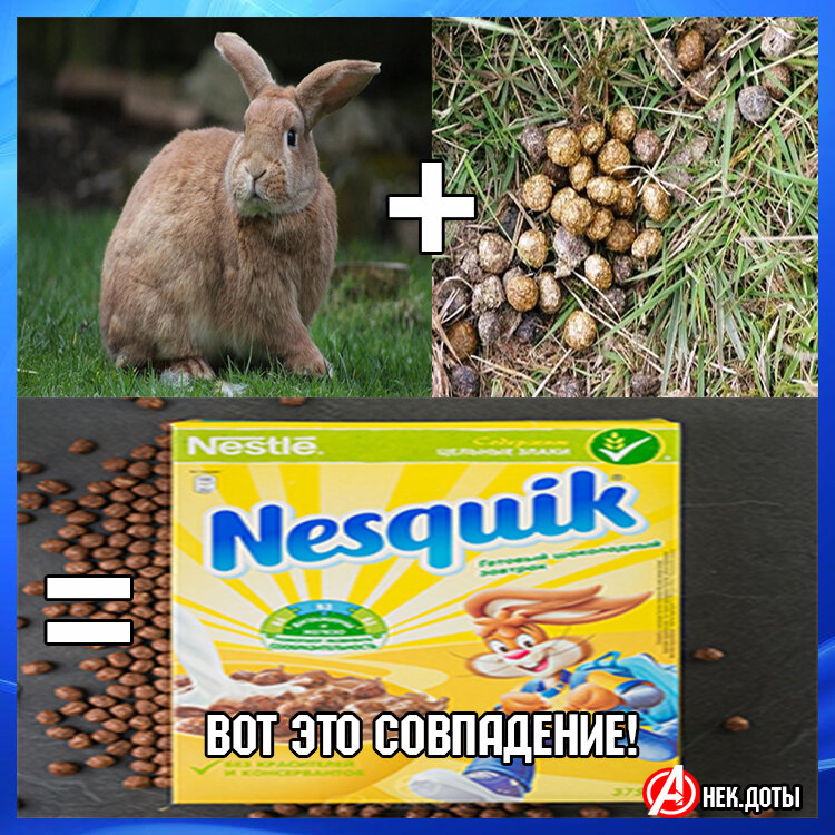 Смешные мемы