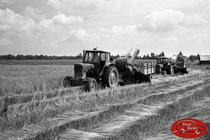 Август ссср. Колхозы Ярославской области. Колхоз верный путь. Колхоз Родина в Угличском районе. Колхоз Родина Ярославская область Угличский район,.