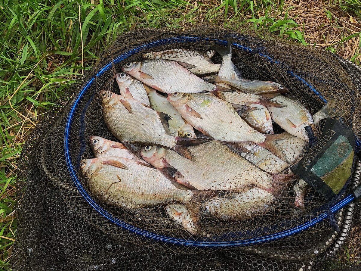 Чистое серебро