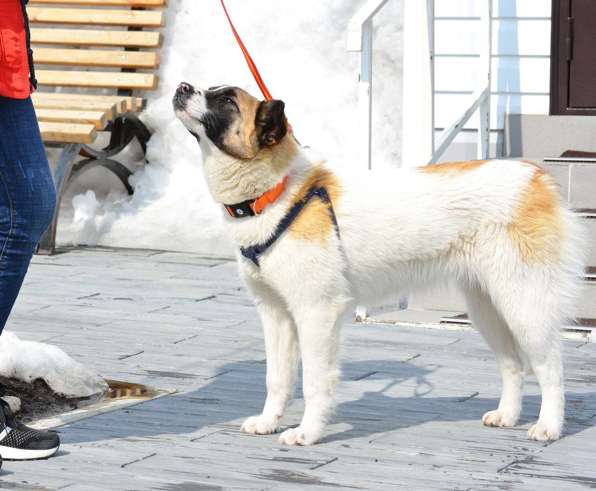 Фото из открытого доступа