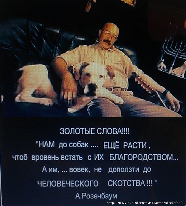 фото  из  свободного  источника