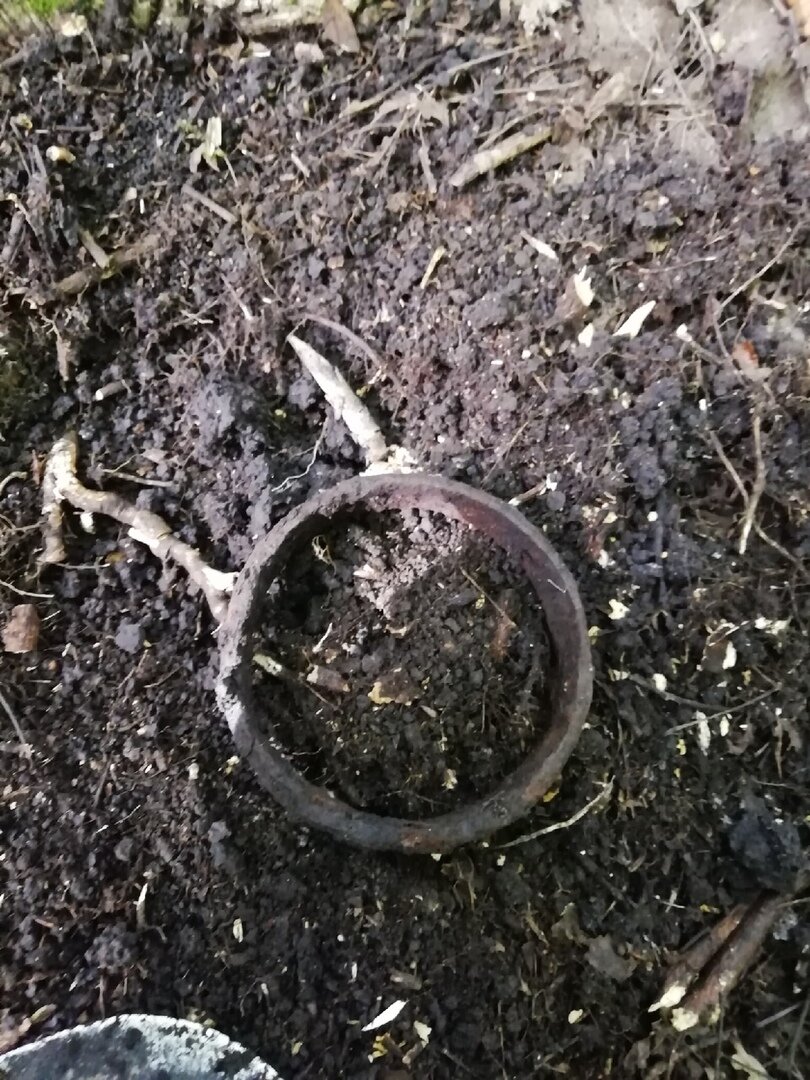 Первая сегодняшняя находка