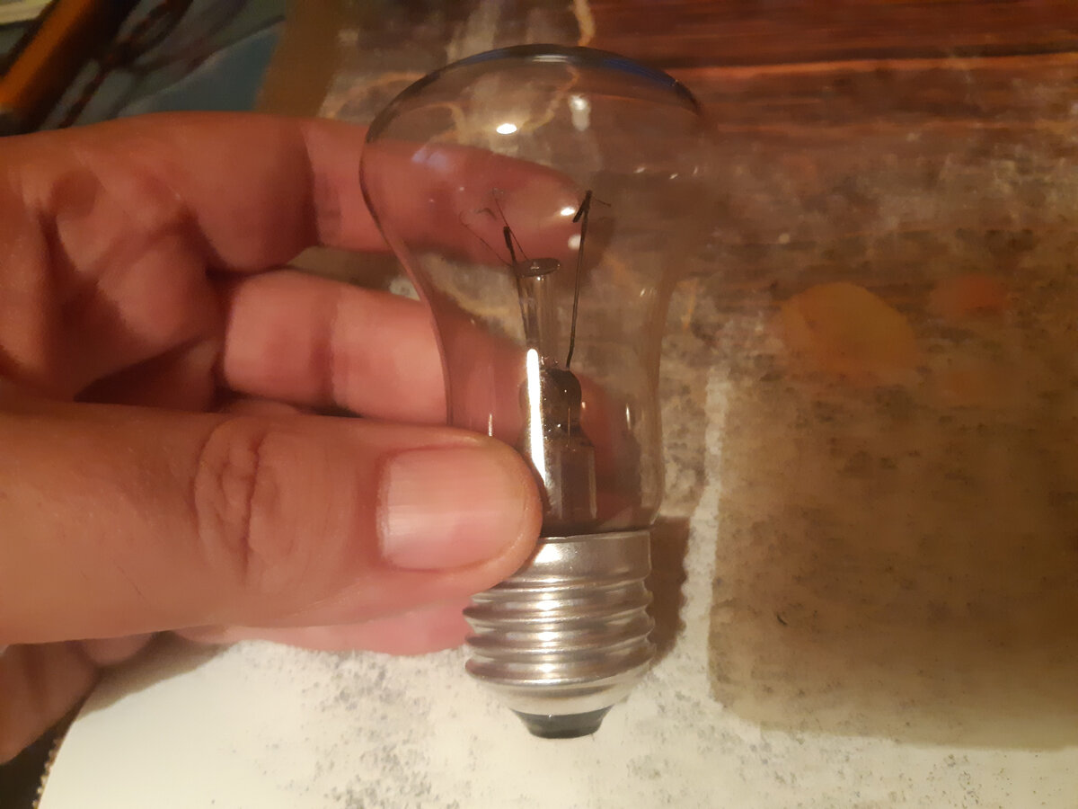 Лампочка. Фото и Рука автора