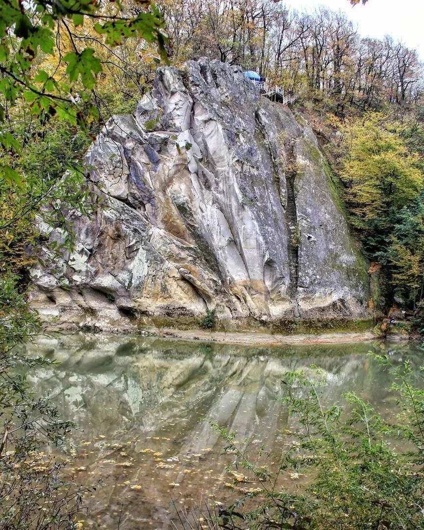 Фото взято из открытых источников