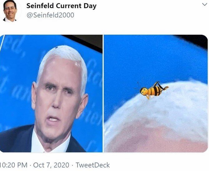 Первый полноценный мем