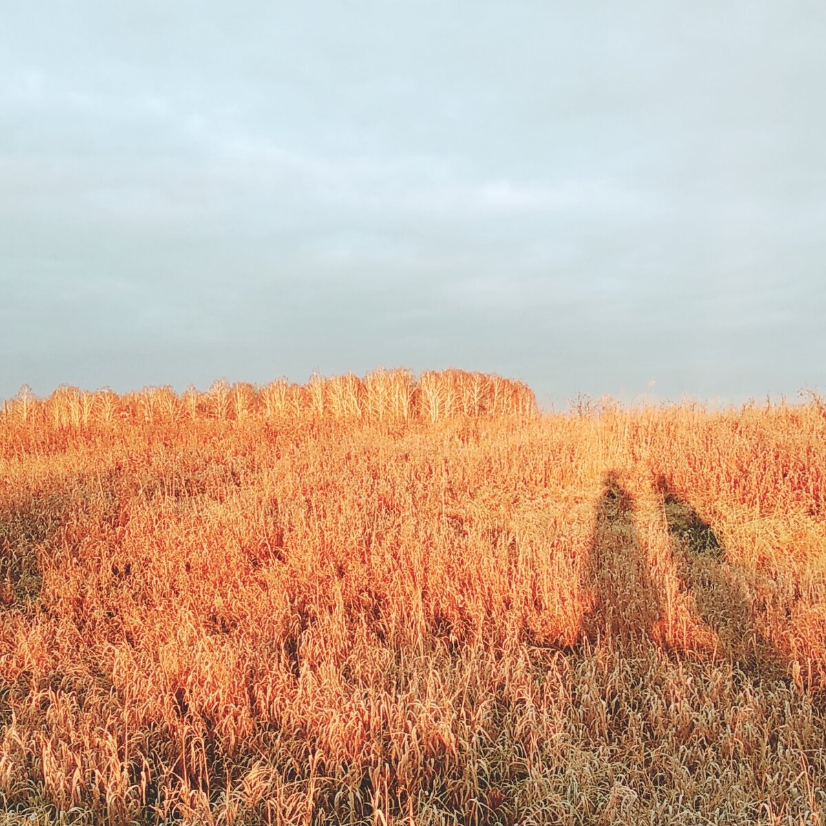 Октябрь 2020 восход Солнца