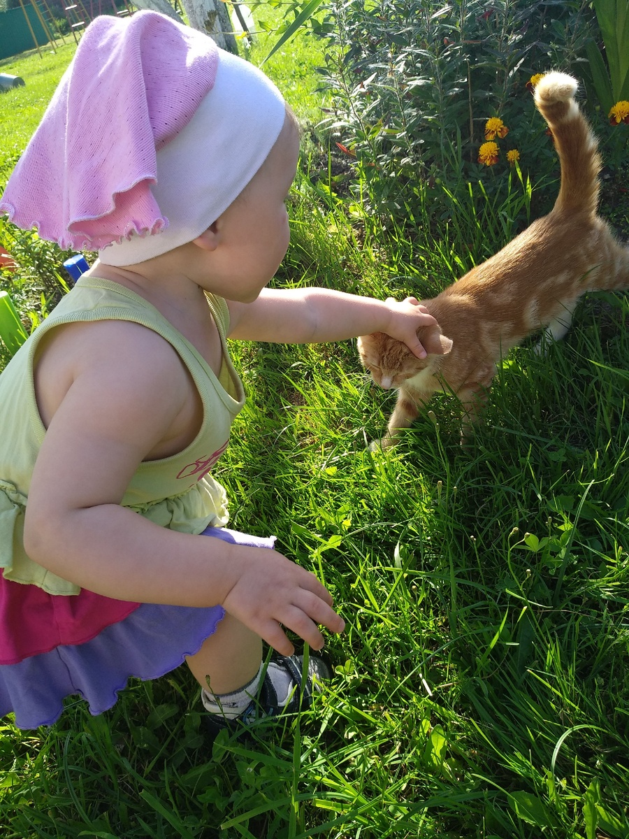 Летний денёк. Да, я иногда позволяю трогать животных на улице