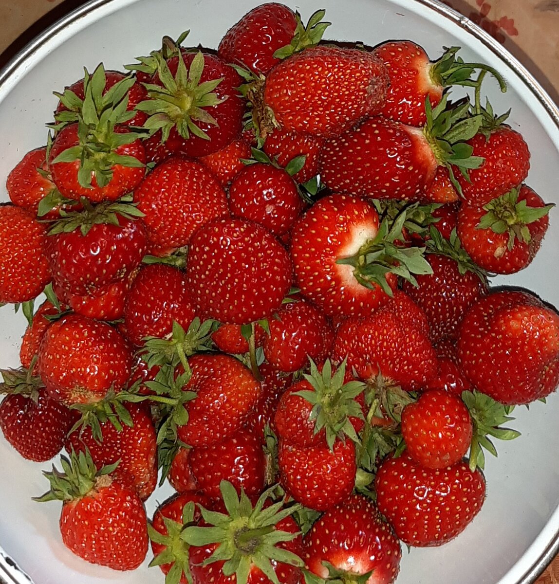 Хоней, Елизавета вторая, Зенга Зенгана и др. Фото автора. 