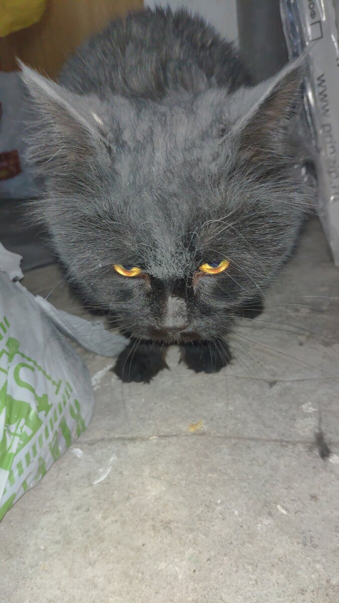 Ремонт, что тут скажешь