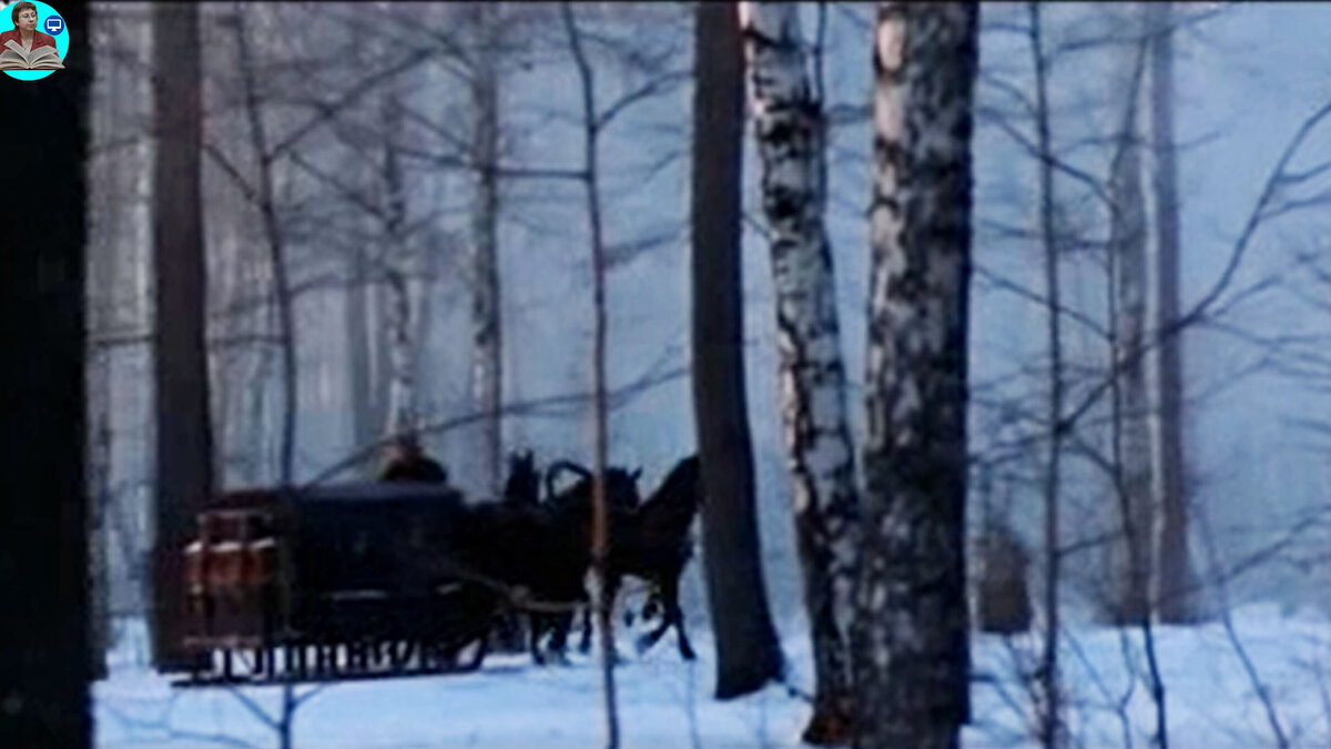 Кадр из фильма "Онегин". Что тут скажешь? "Эх, тройка! птица-тройка, кто тебя выдумал? " - правда это уже из "Мертвых душ" Гоголя.