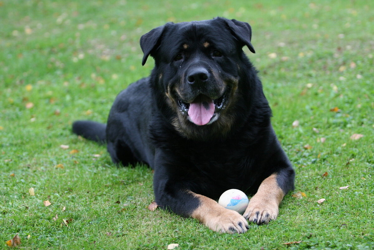 Источник фото: freeimages.com