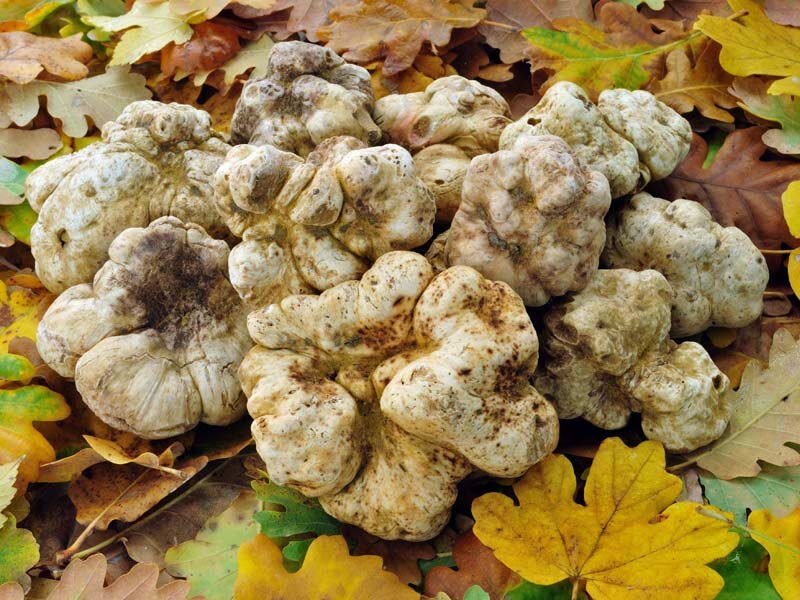 Фото с сайта http://www.italia.it/