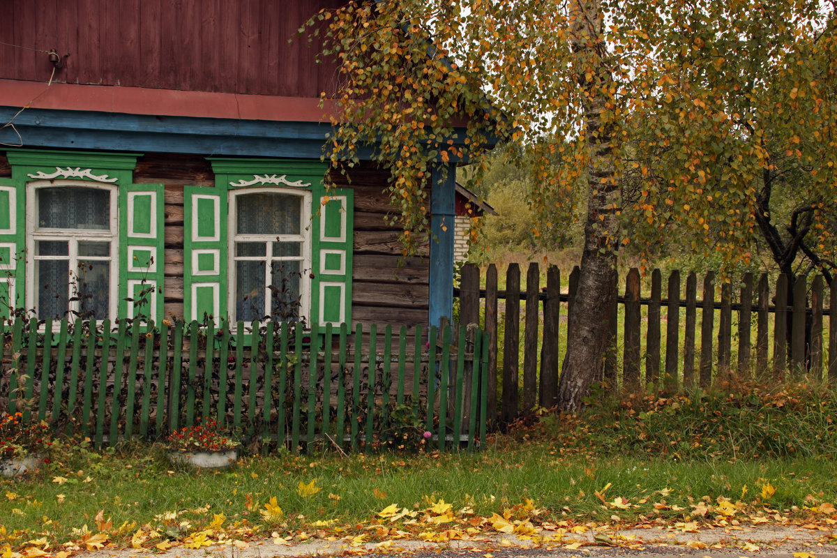 Сельская 16. Остень старый дом в деревне. Деревенский дом с забором. Деревенский дом с березой. Домик в деревне с березой.