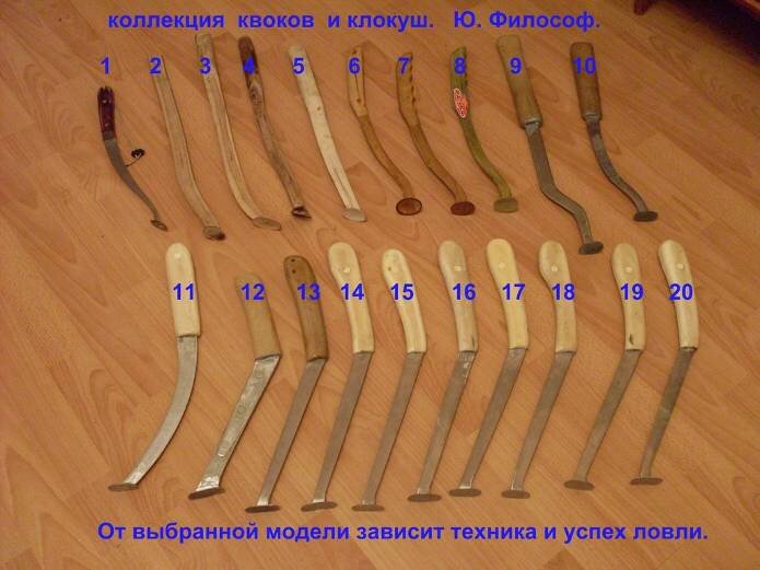 Квоки бывают разные и у настоящего сомятника их целая коллекция. Фото из открытых источников