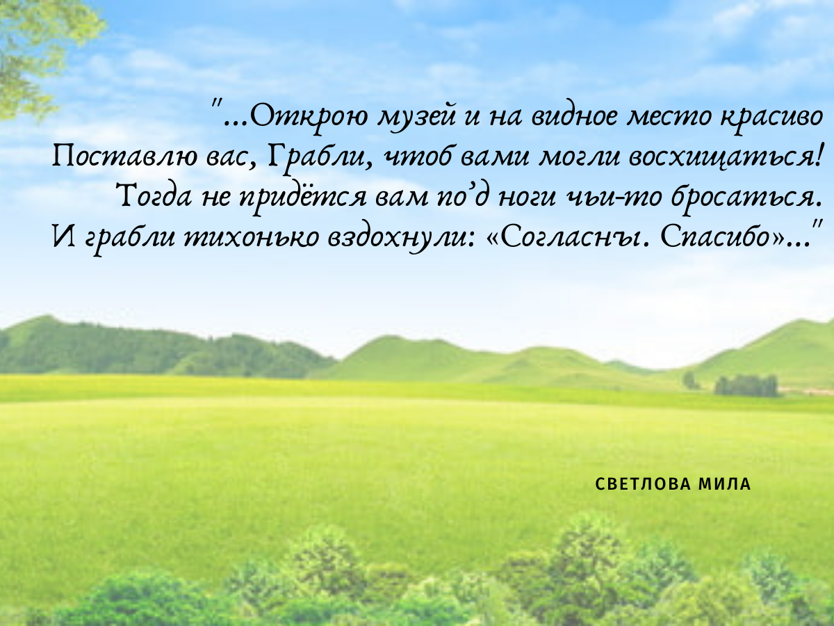 Обходя грабли вы лишаете себя незабываемых ощущений. Ода граблям | Моя  дача. Мой дом. Моя жизнь. | Дзен