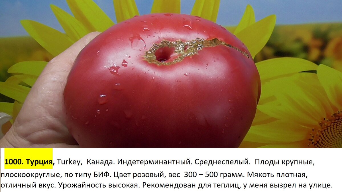 -135