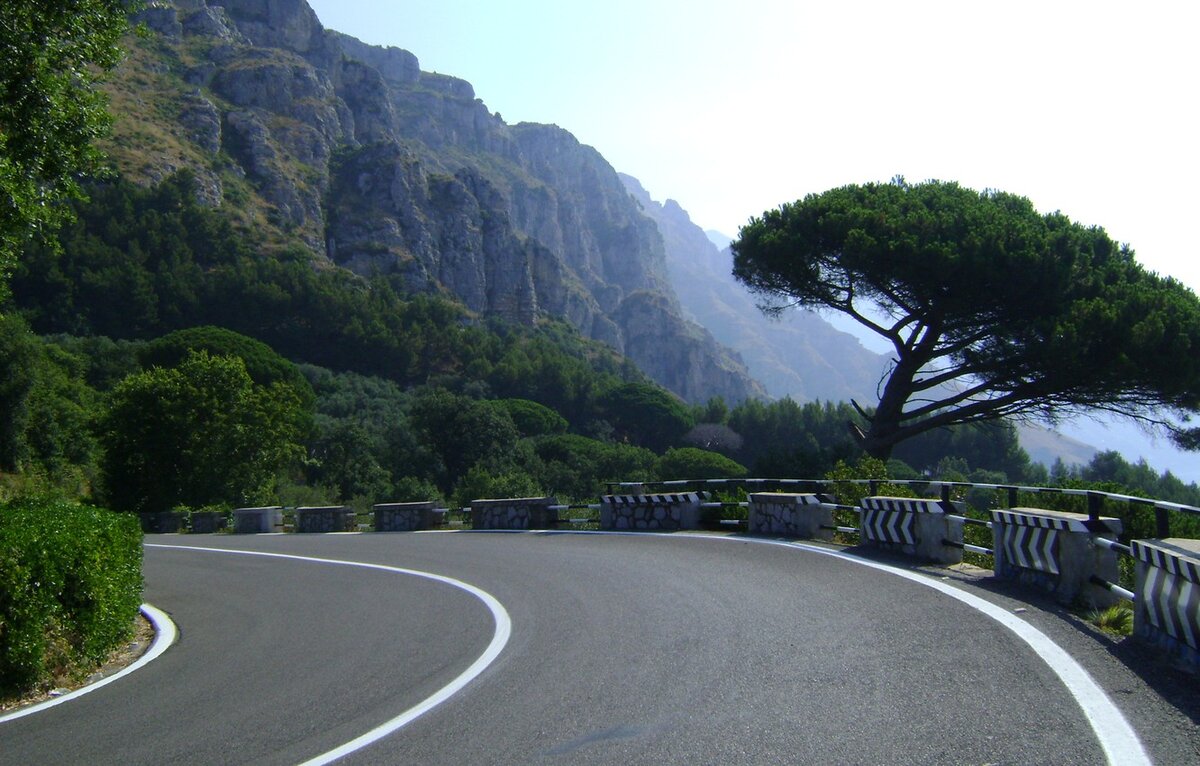 Именно они и именно в этом месте... Все не зря...