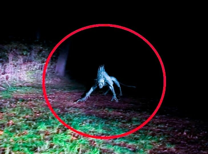 фото взято с Яндекс картинки