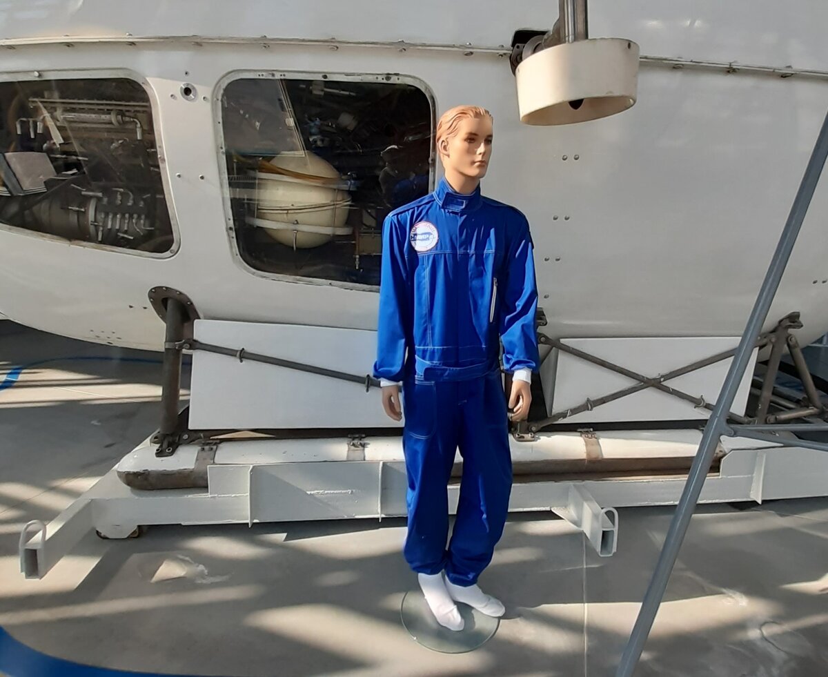 Какие основные отличительные особенности у человека? Вид, содержание, качества, достижения, имущество? фото автора