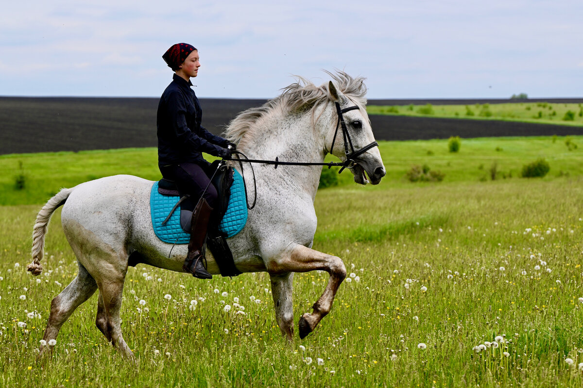 Роскошный Буч и Милана. Через пару минут начнется гроза