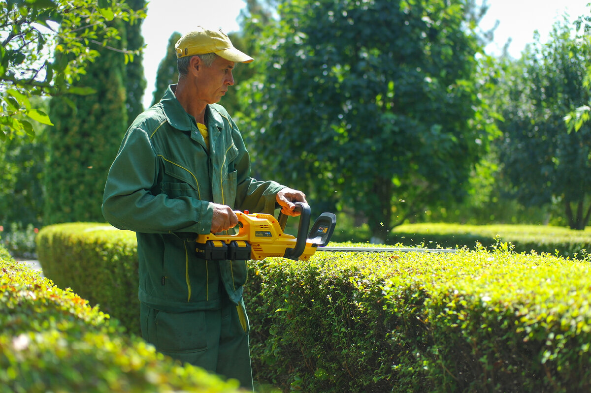 Denzel RBC510-36 Cordless Brush Cutter – аккумуляторный садовый кусторез с мощным коллекторным электромотором на 36V, комплектующийся сразу двумя аккумуляторами. Что из этого вышло, узнаем далее.