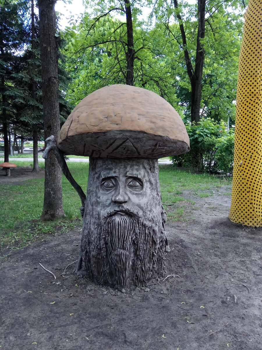парк юность брянск