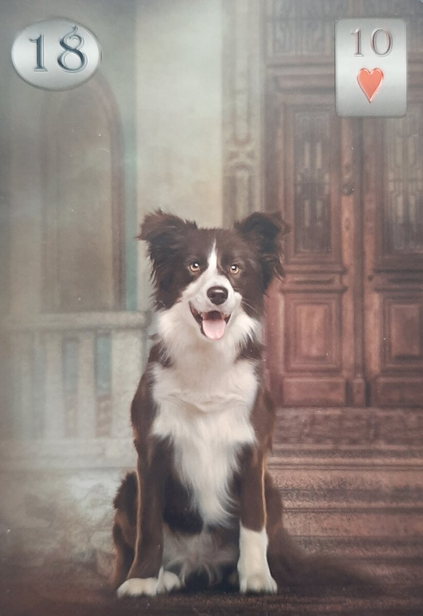 Thelema Lenormand. Renata Lechner