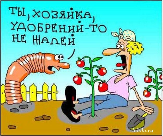 Прикольные картинки про садоводов и огородников