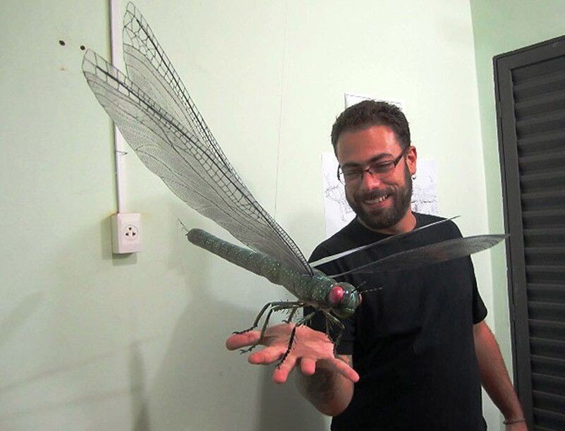 Реконструкция меганевры