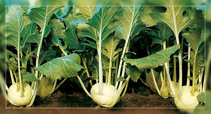 Выбор места для посадки