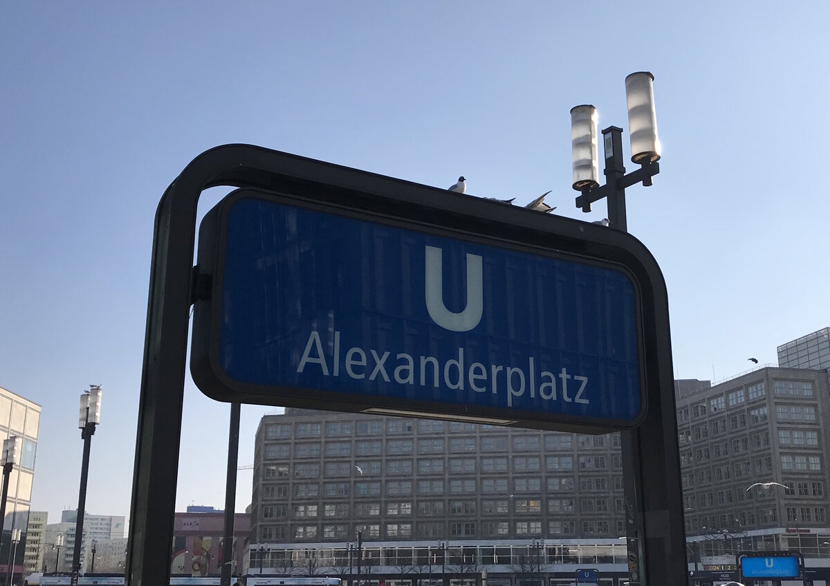 Фотографии я делала в начале весны - в первые дни своего пребывания здесь. Сейчас все уже цветочно-зеленое :) 