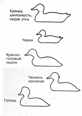-4
