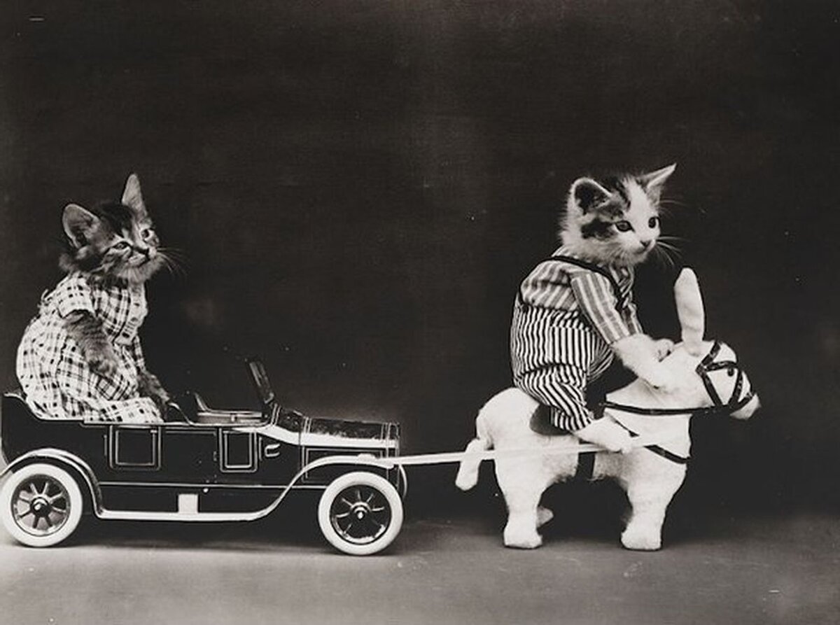 катание с красоткой