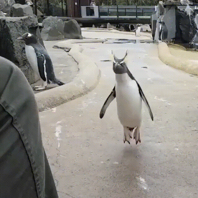 -12