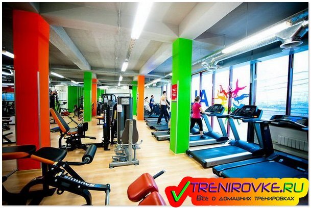 Фитнес алекс расписание