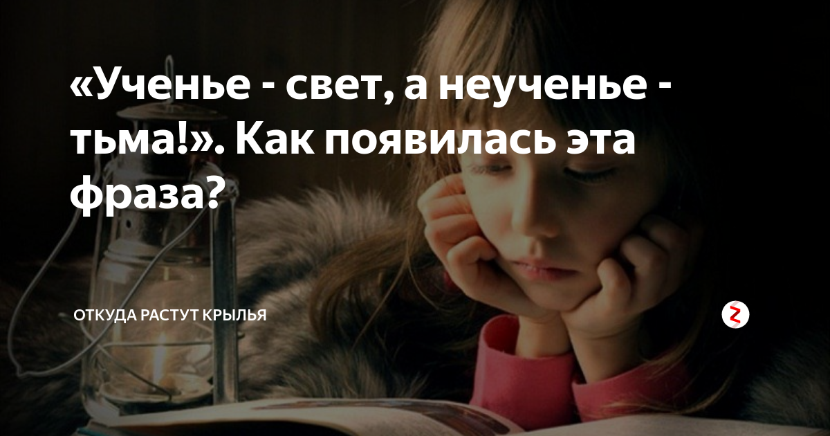 Ученье свет а неученье тьма продолжение. Схема предложения ученье свет а неученье тьма. Ученье свет а неученье тьма картинки. Ученье свет а неученье тьма Автор.