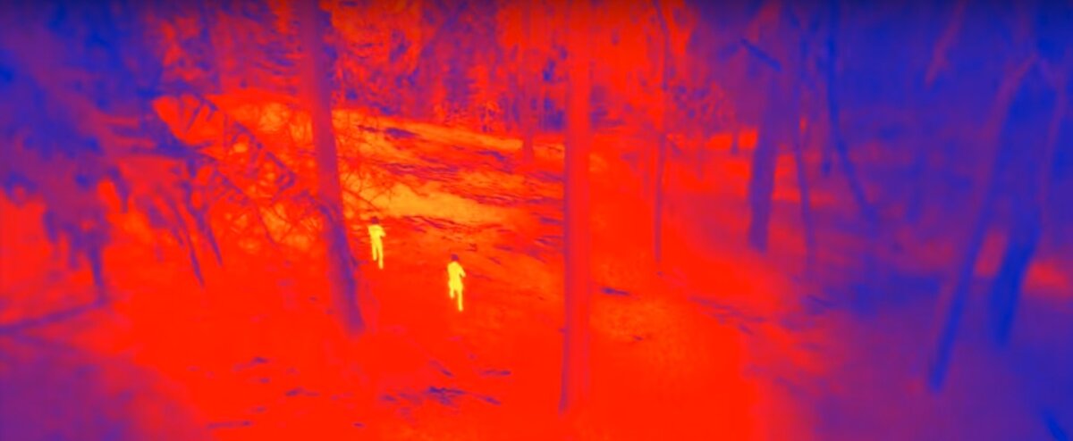 Кадр из трейлера. И подсознательно слышишь стрекотание Хищника