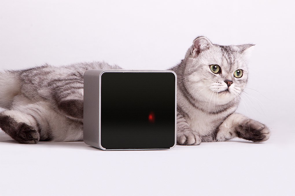 Petcube: Гаджет для общения с животными на расстоянии 
