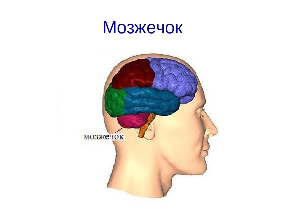 Головокружение или предобморочное состояние при вставании