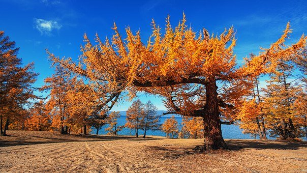 Ольхон. Байкал. Фото с сайта http://olkhon-soul.ru