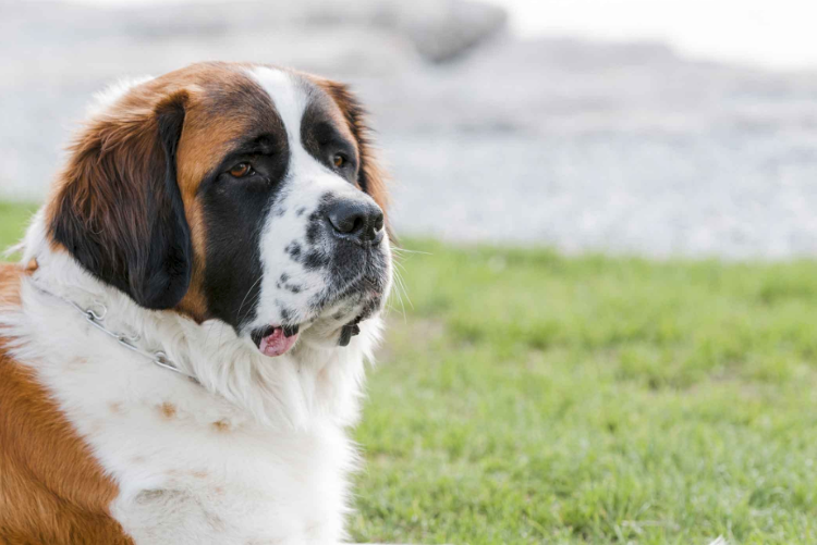 Палец вверх и подписка здоровяку!  😎