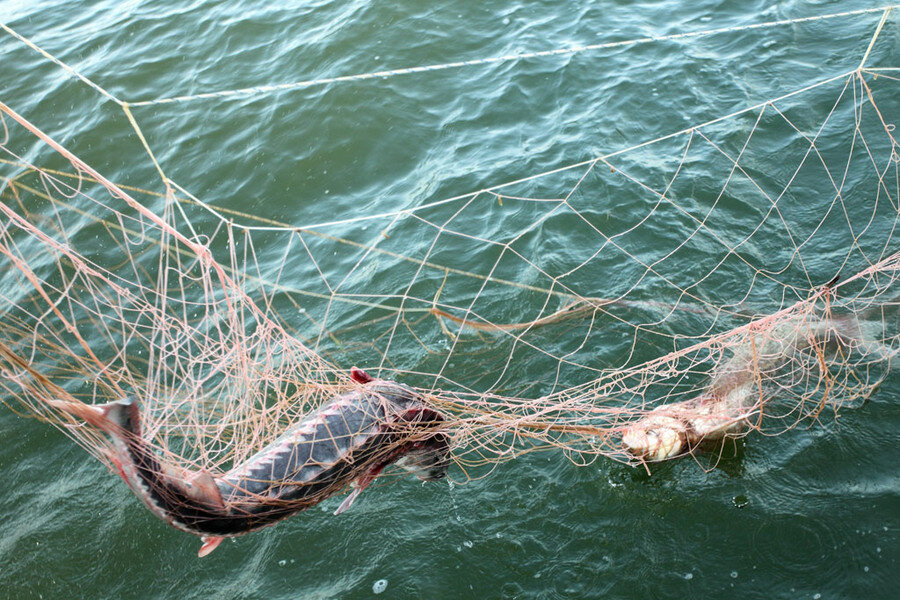 Плетение рыболовной снасти на рейке за час. — Video | VK