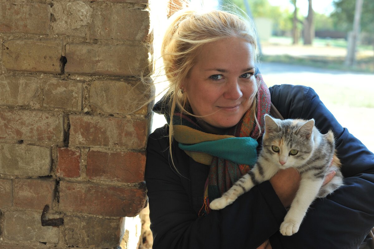 котики спасут мир!!!)