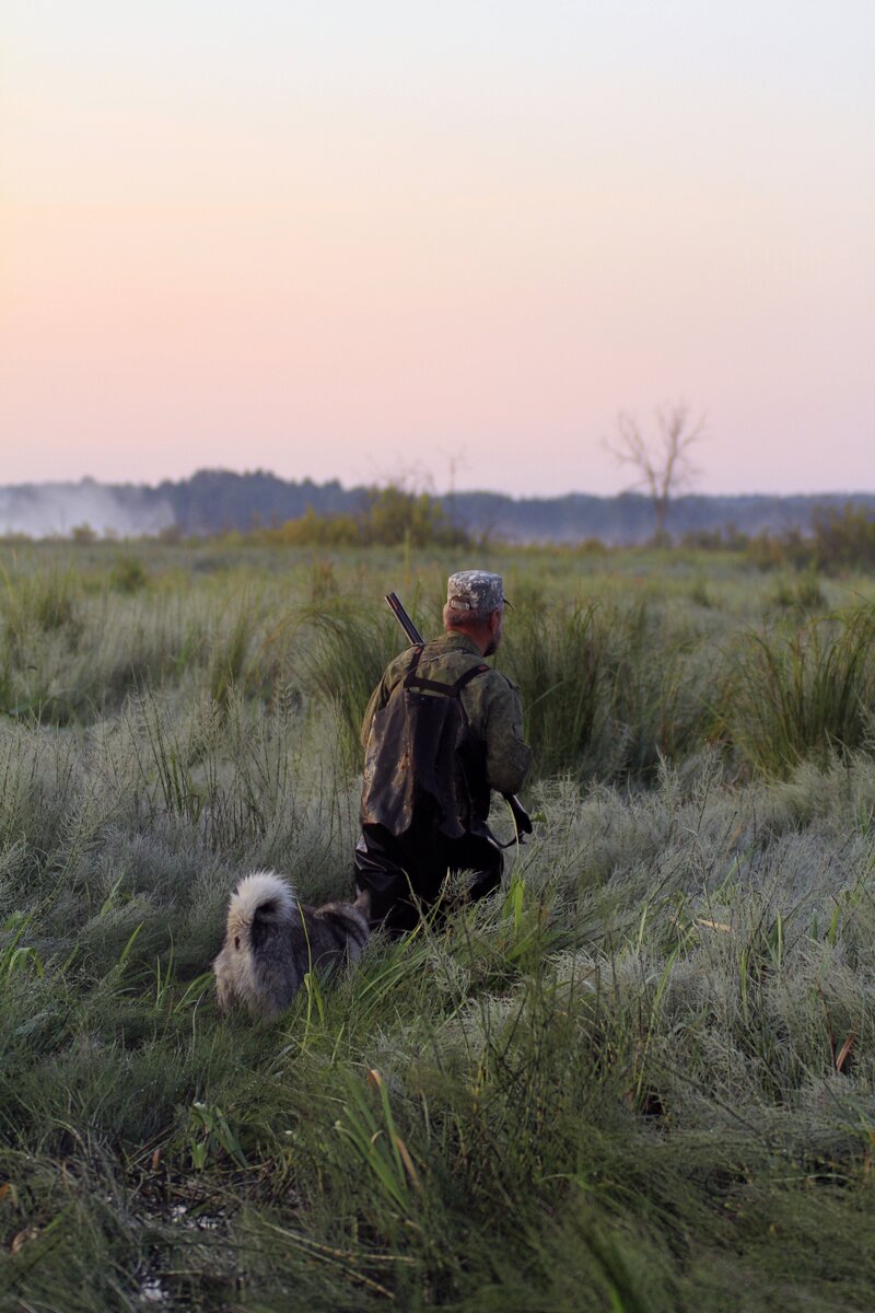 Охотник и его верный помощник идут по затопленному берегу реки поднимать из зарослей уток